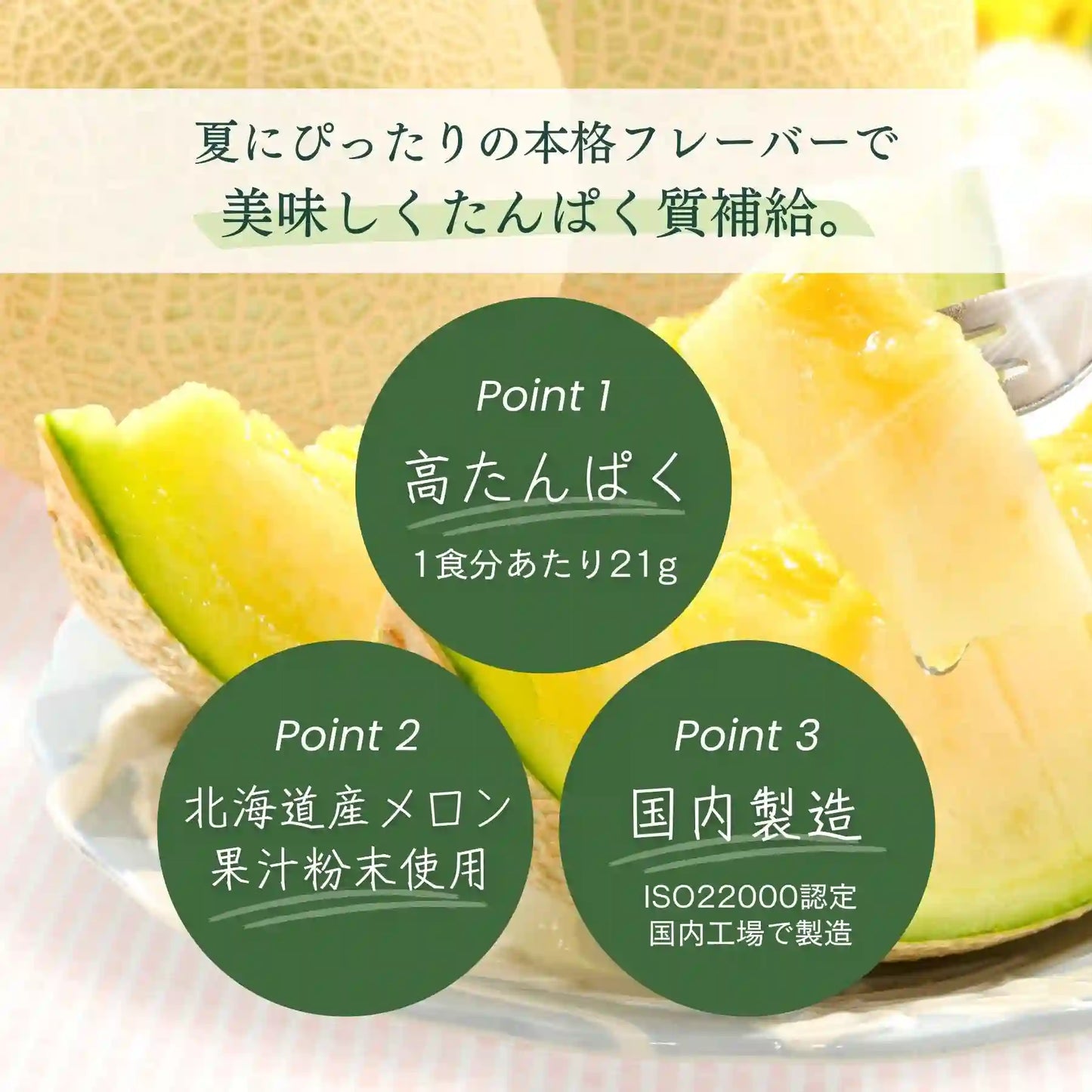 ホエイプロテイン(WPC)芳醇メロン