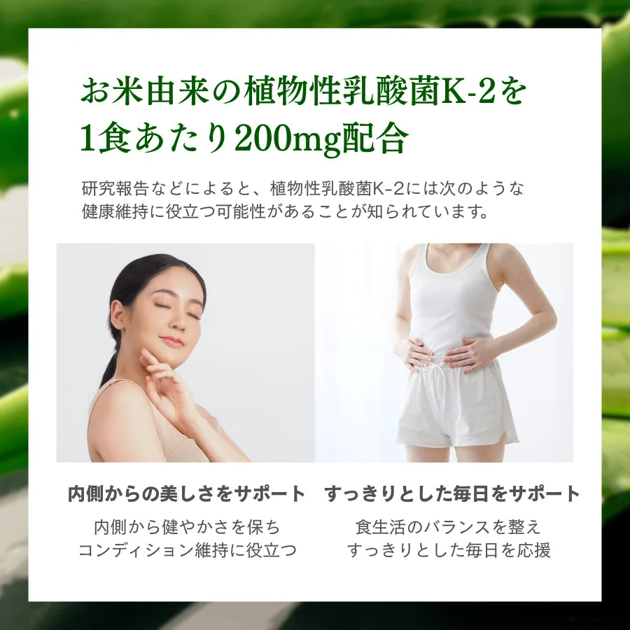 【期間限定】ホエイプロテイン(WPC)アロエヨーグルト