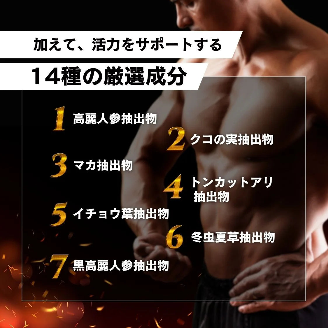 VITABOOST(ビタブースト)α