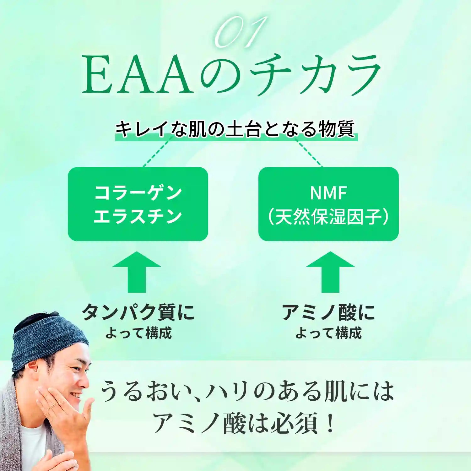 EAA (必須アミノ酸)