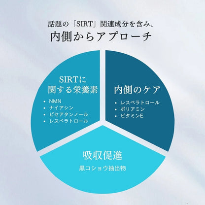 Longevity（ロンジェビティ）