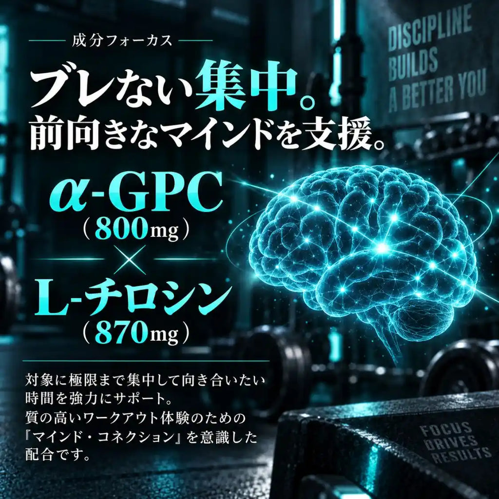 プレワークアウト シークワーサー味【IFBBプロ監修品】