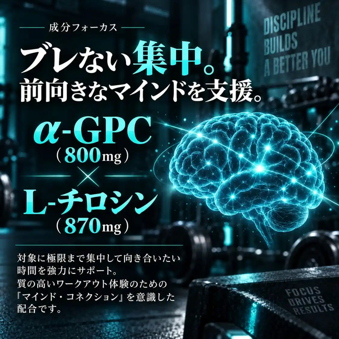 プレワークアウト シークワーサー味【IFBBプロ監修品】