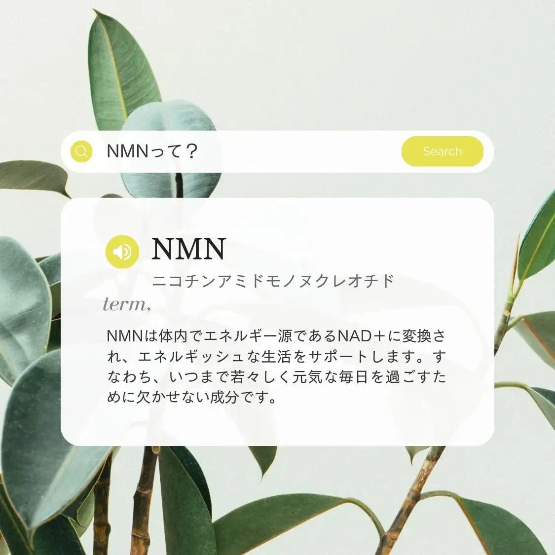 NMN