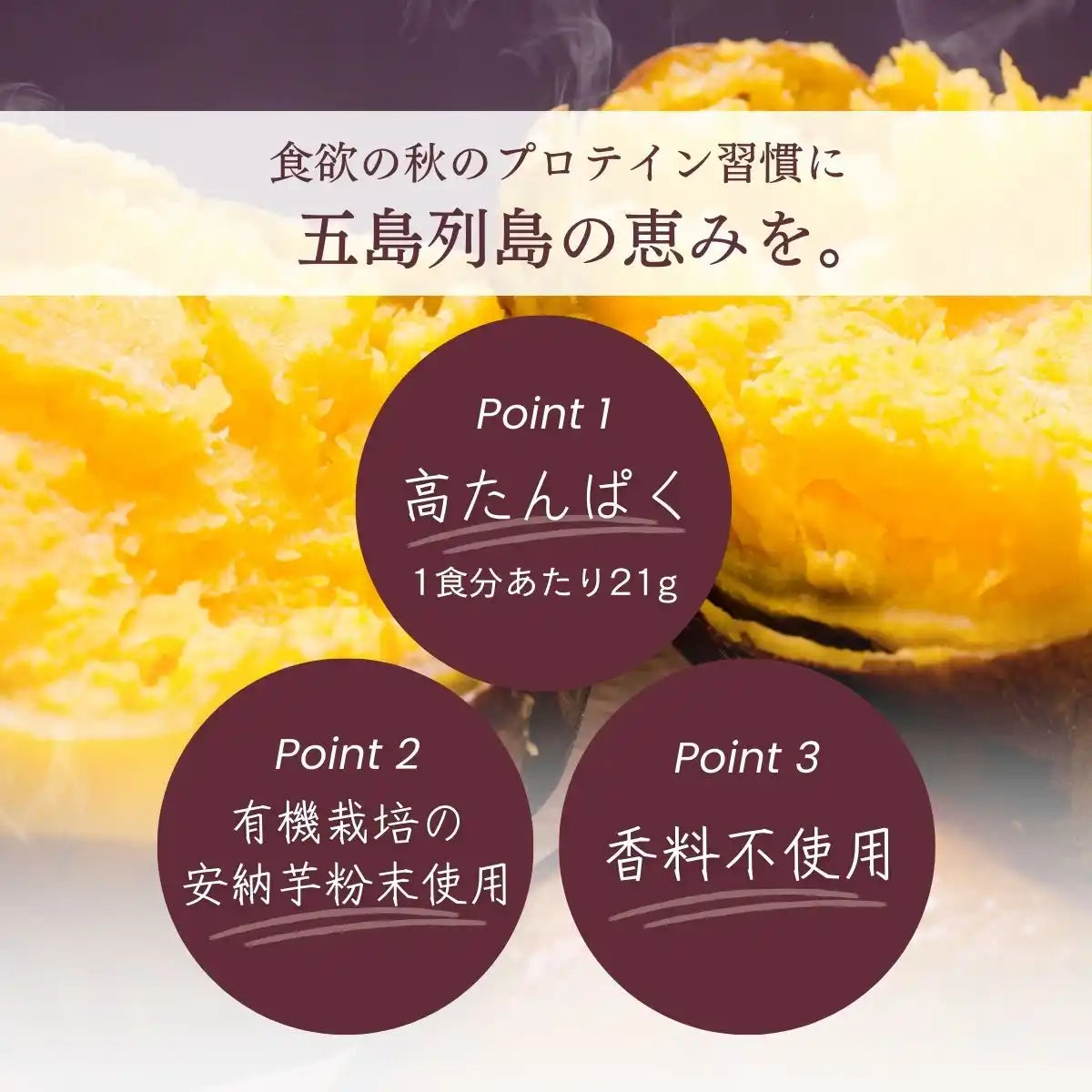 秋限定】ホエイプロテイン(WPC)安納芋味 | Naturecan Fitness 秋限定】ホエイプロテイン(WPC)安納芋味 | Naturecan Fitness