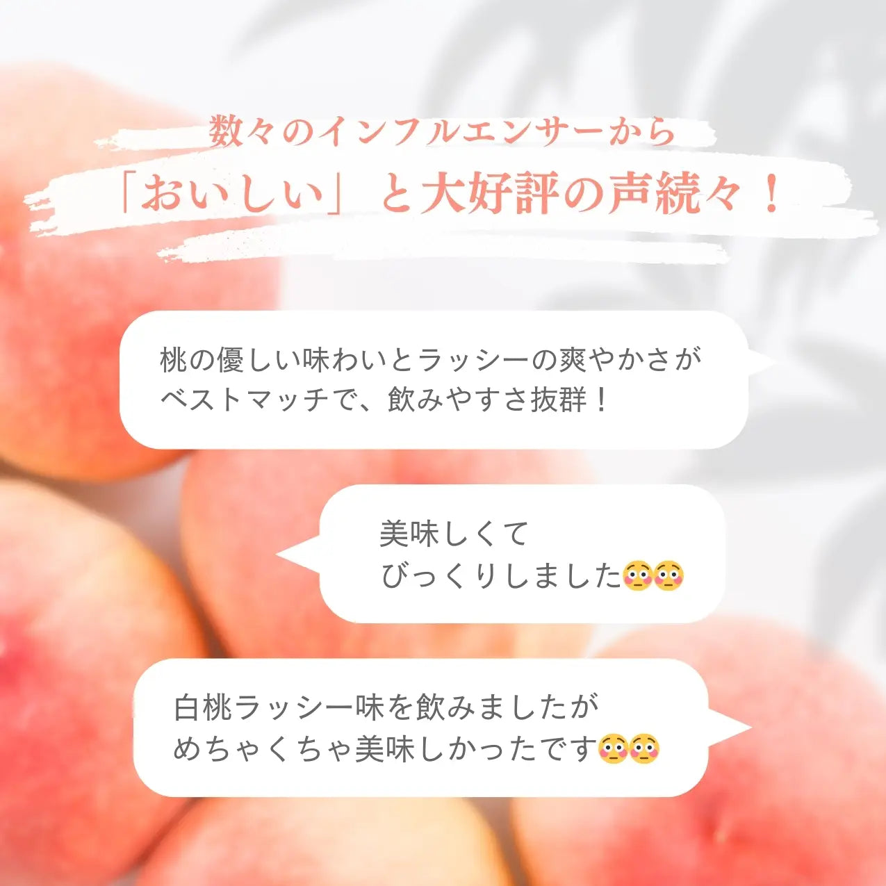 ホエイプロテイン（WPC）白桃ラッシー味