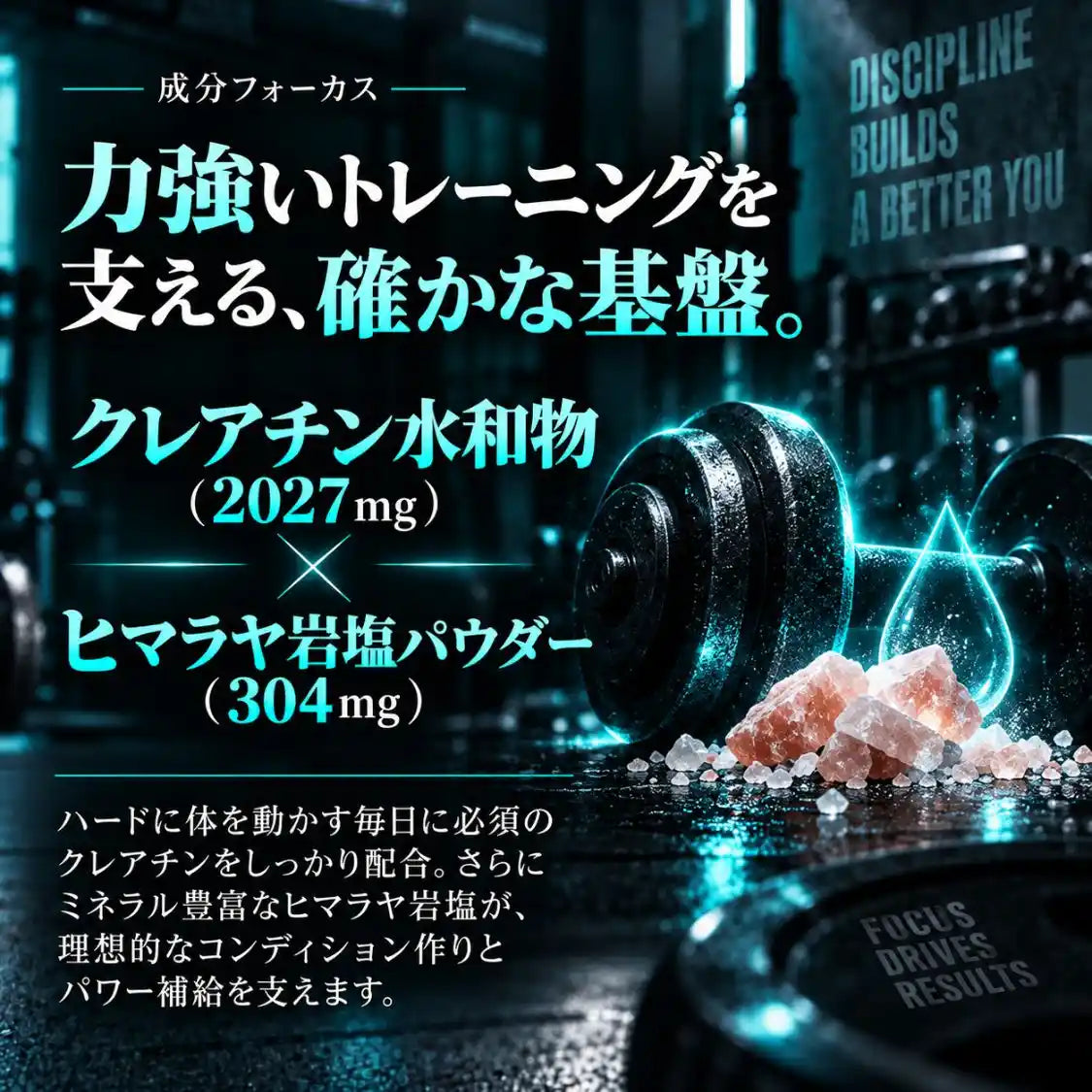 プレワークアウト シークワーサー味【IFBBプロ監修品】
