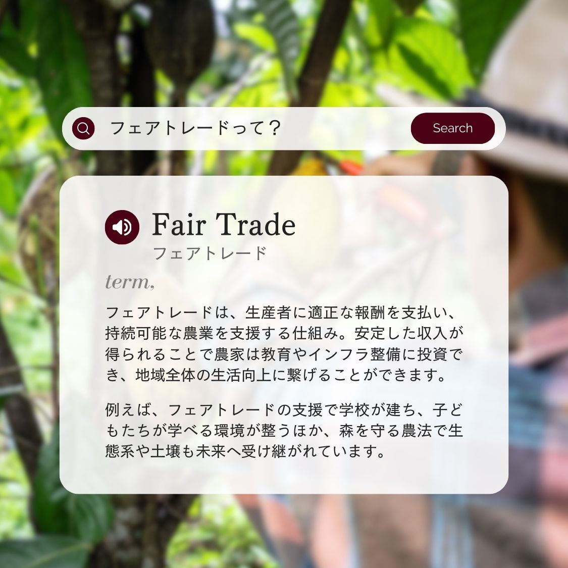 ホエイプロテイン（WPC）ダークチョコレート