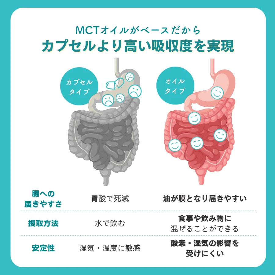 選べるプロテイン×Bifiora ビフィズス菌オイル【さらに10%OFF】