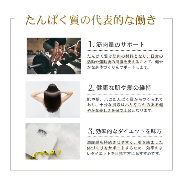 ホエイプロテイン（WPC）