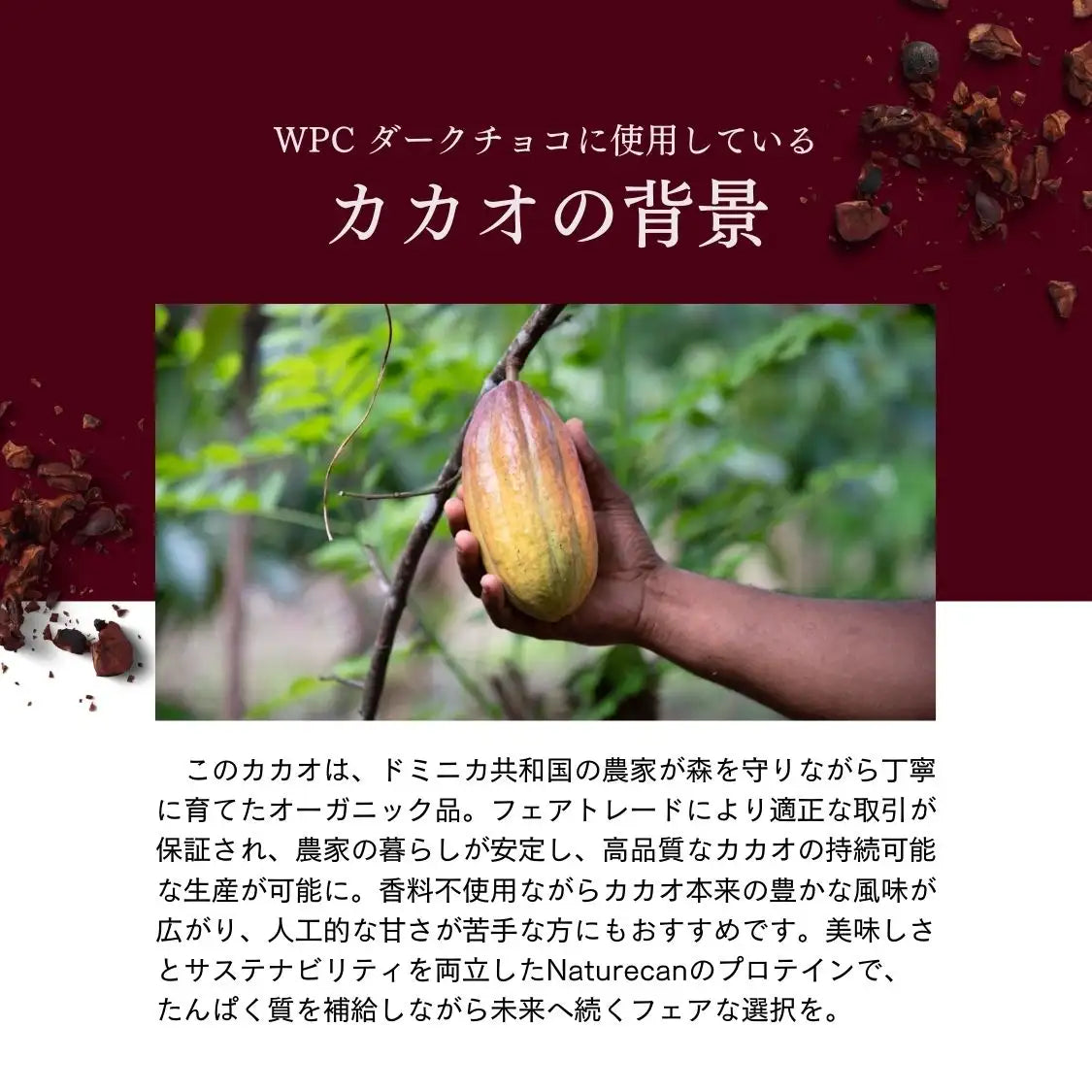 期間限定】ホエイプロテイン（WPC）ダークチョコレート