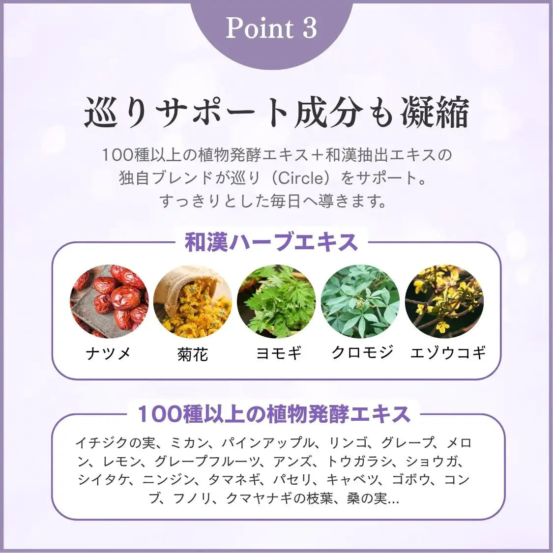 CIRCLE Fe（鉄分美容ドリンク）