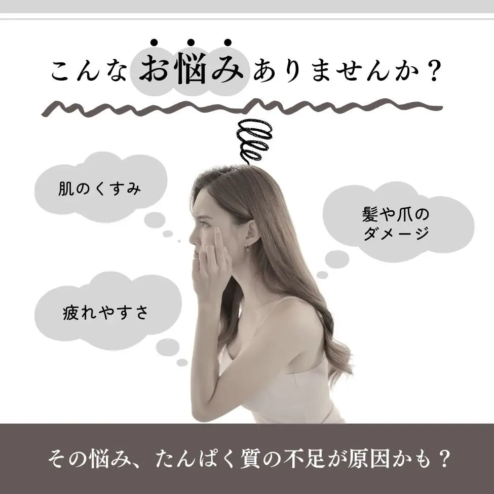 まこち Special プロテインセット