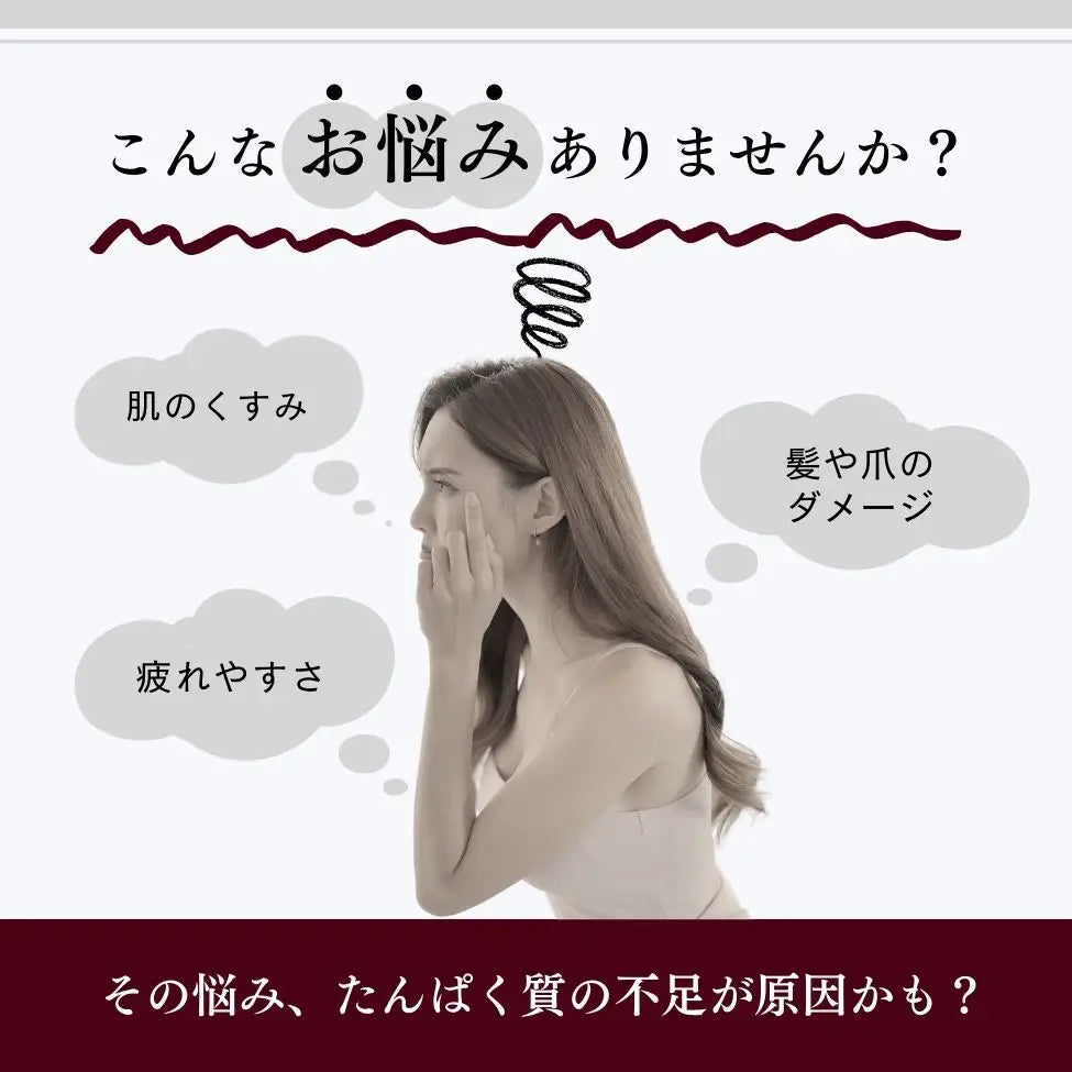 ホエイプロテイン（WPC）ダークチョコレート