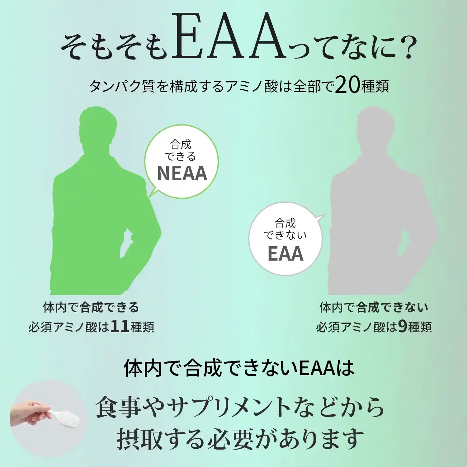 EAA (必須アミノ酸)