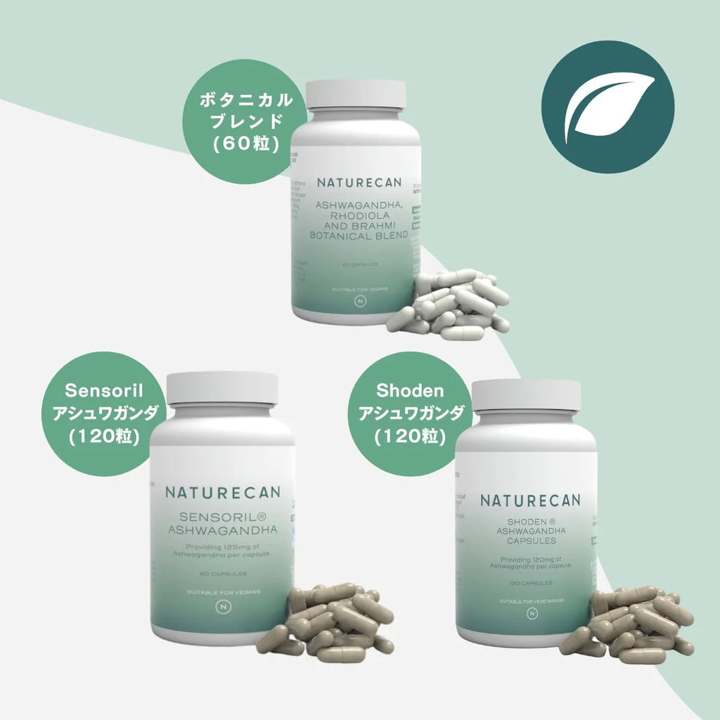 アダプトラテ AdaptoLatte3個セット