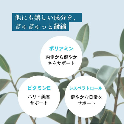 Longevity（ロンジェビティ）