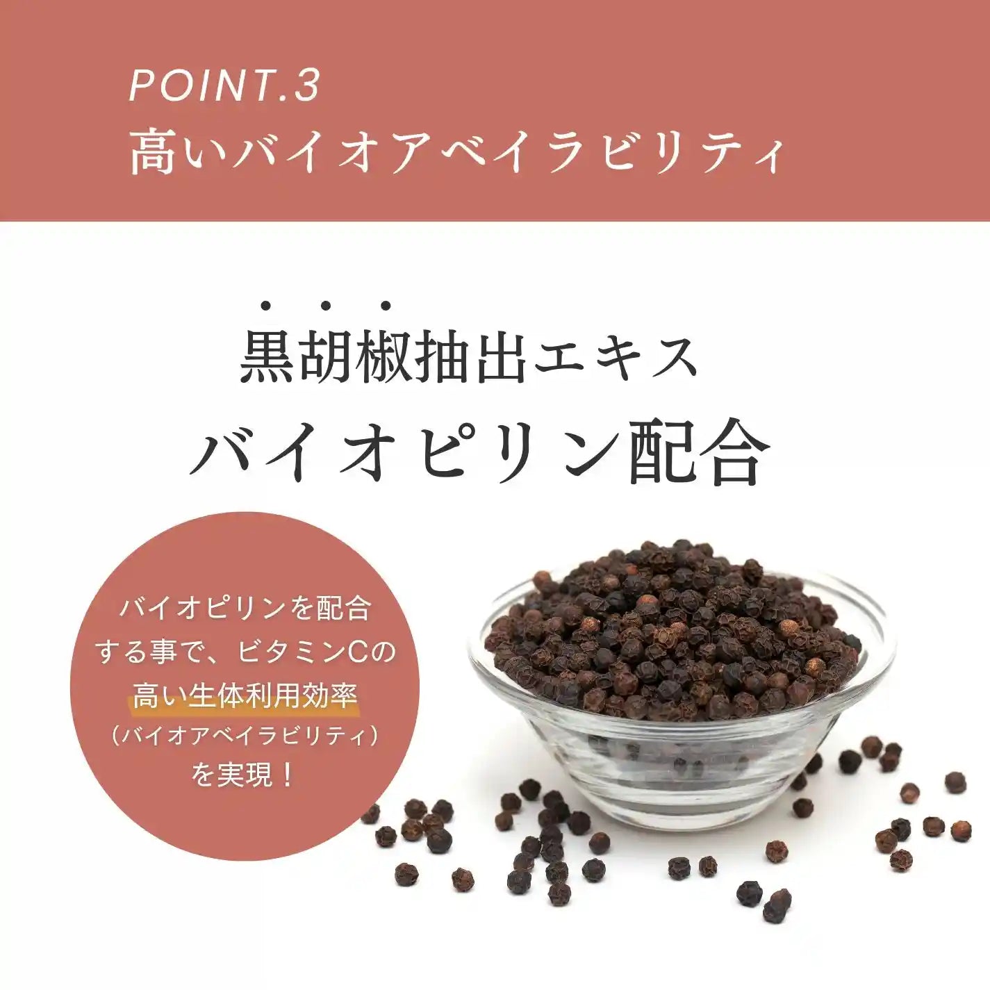 アセロラ由来ビタミンC1000 | Naturecan Fitness (ネイチャーカン アセロラ由来ビタミンC1000 | Naturecan Fitness (ネイチャーカン