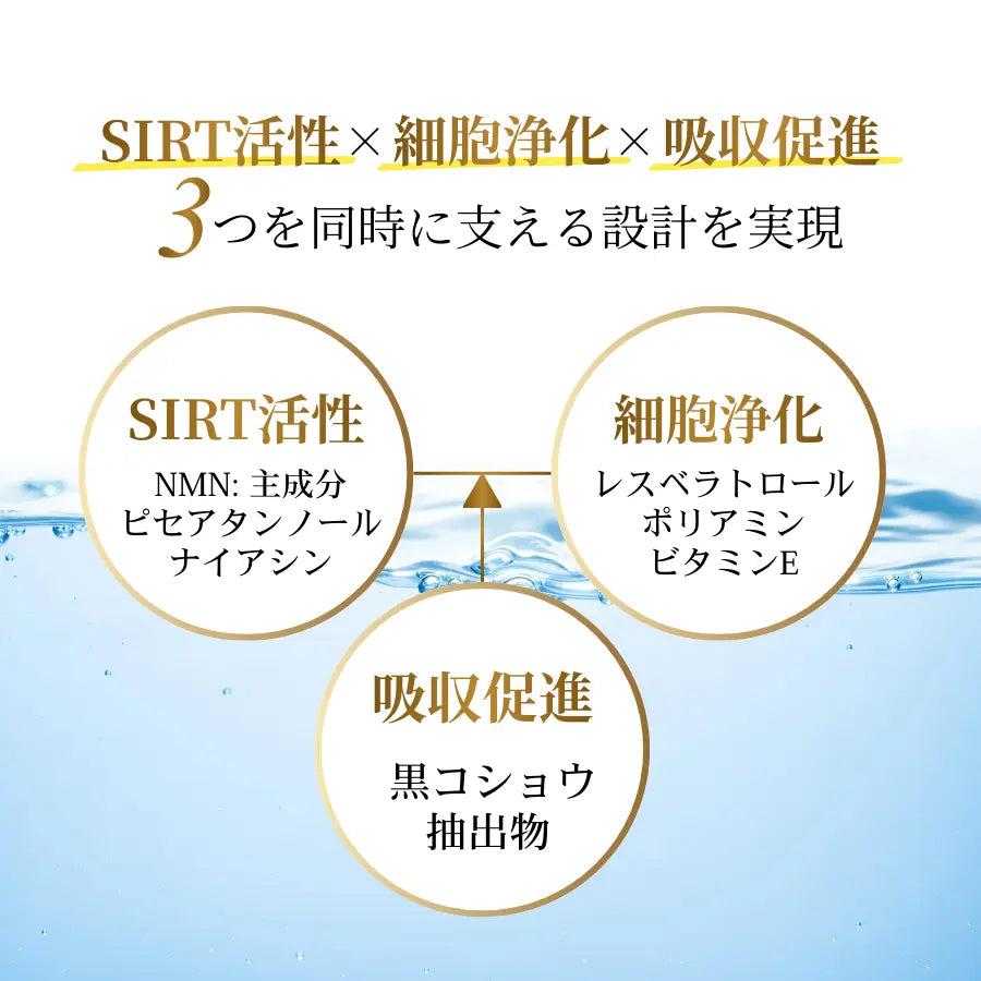 Longevity（ロンジェビティ）