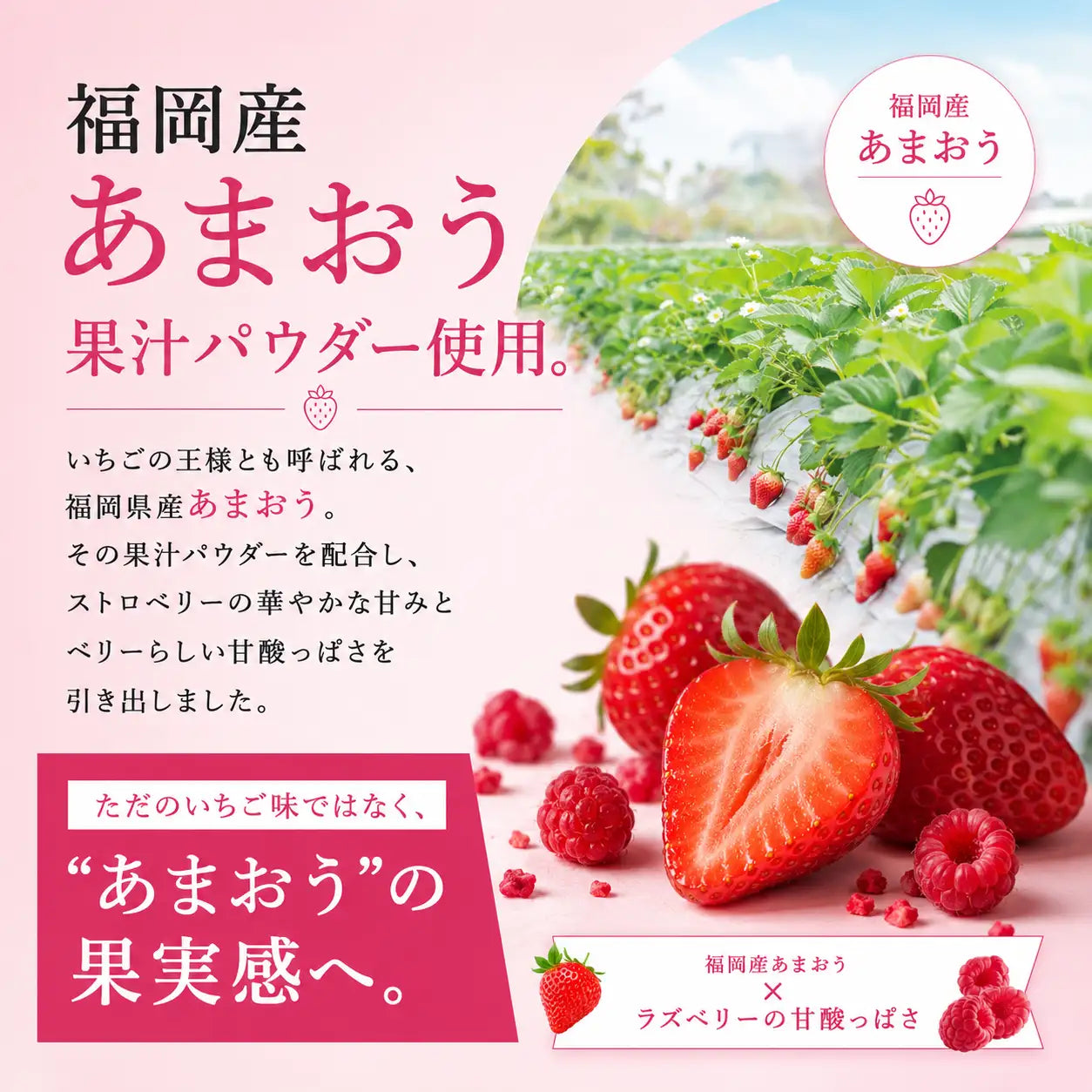 ホエイプロテイン（WPC）ストロベリーラズベリー