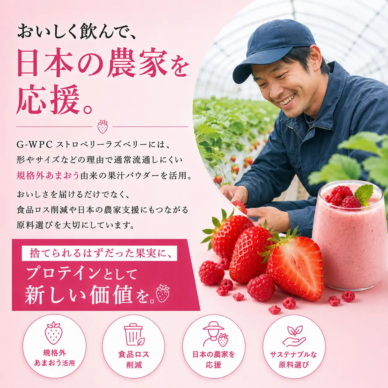 ホエイプロテイン（WPC）ストロベリーラズベリー
